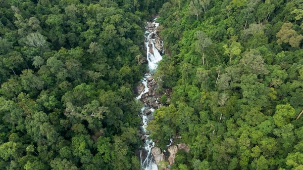 Les principaux défis et perspectives de l'action vallourec